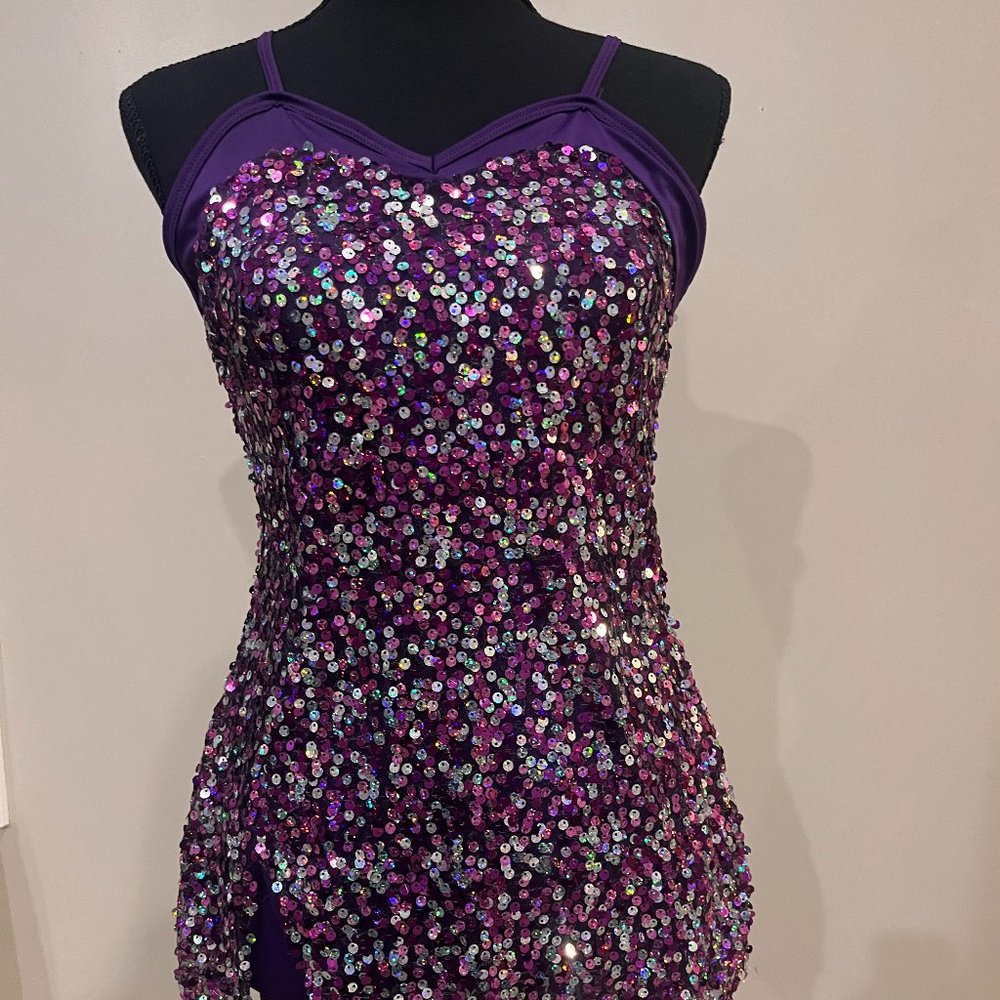 Sequin Purple sequin costume